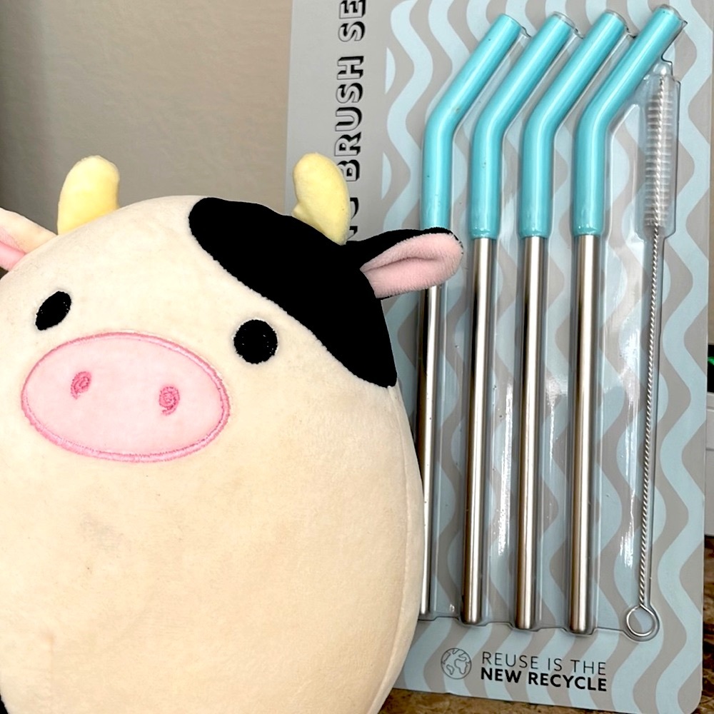 🆕 Manna Stainless Steel Reusable Straw & Cleaning Brush Set 5 Piece